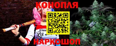 МДПВ Краснознаменск